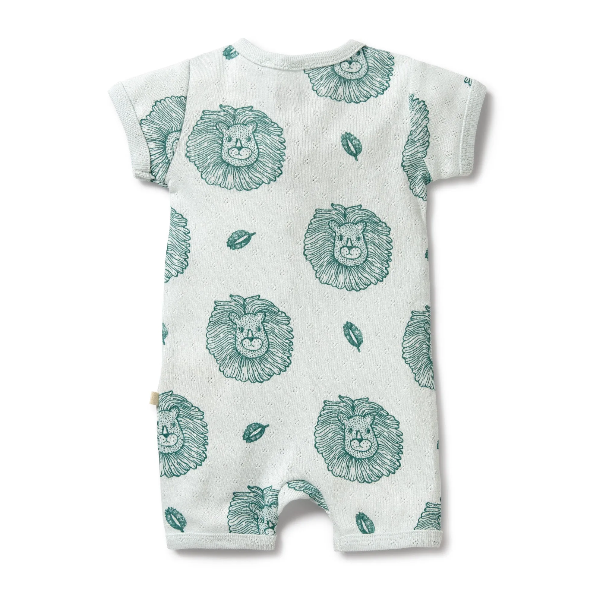 LITTLE LION POINTELLE BOYLEG ZIPSUIT