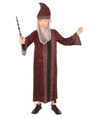 Professor Dumbledore Children's Book Week Harry Potter Costume