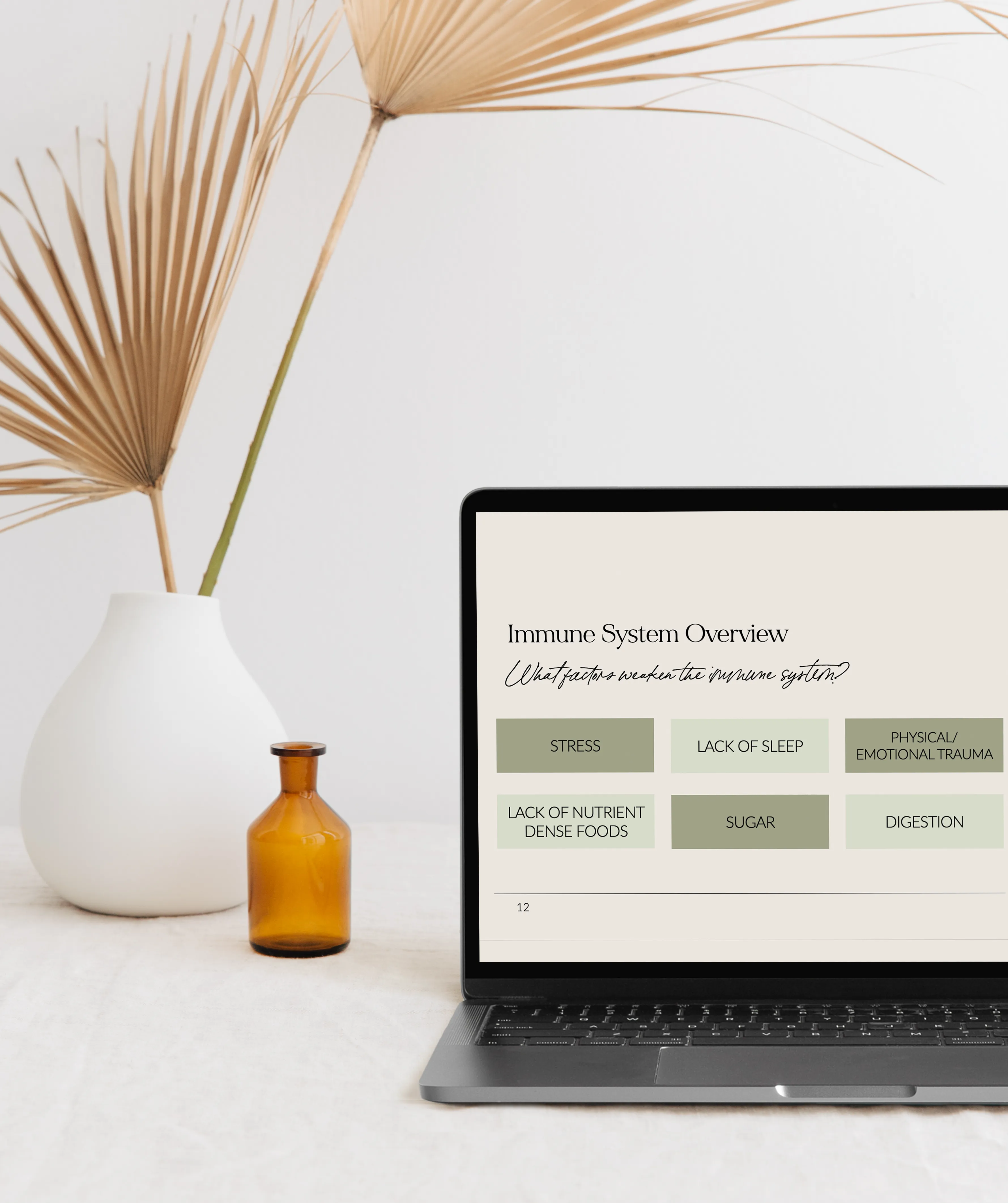 Wellness Collective Bundle: Natural Health Remedies for Adults   Children