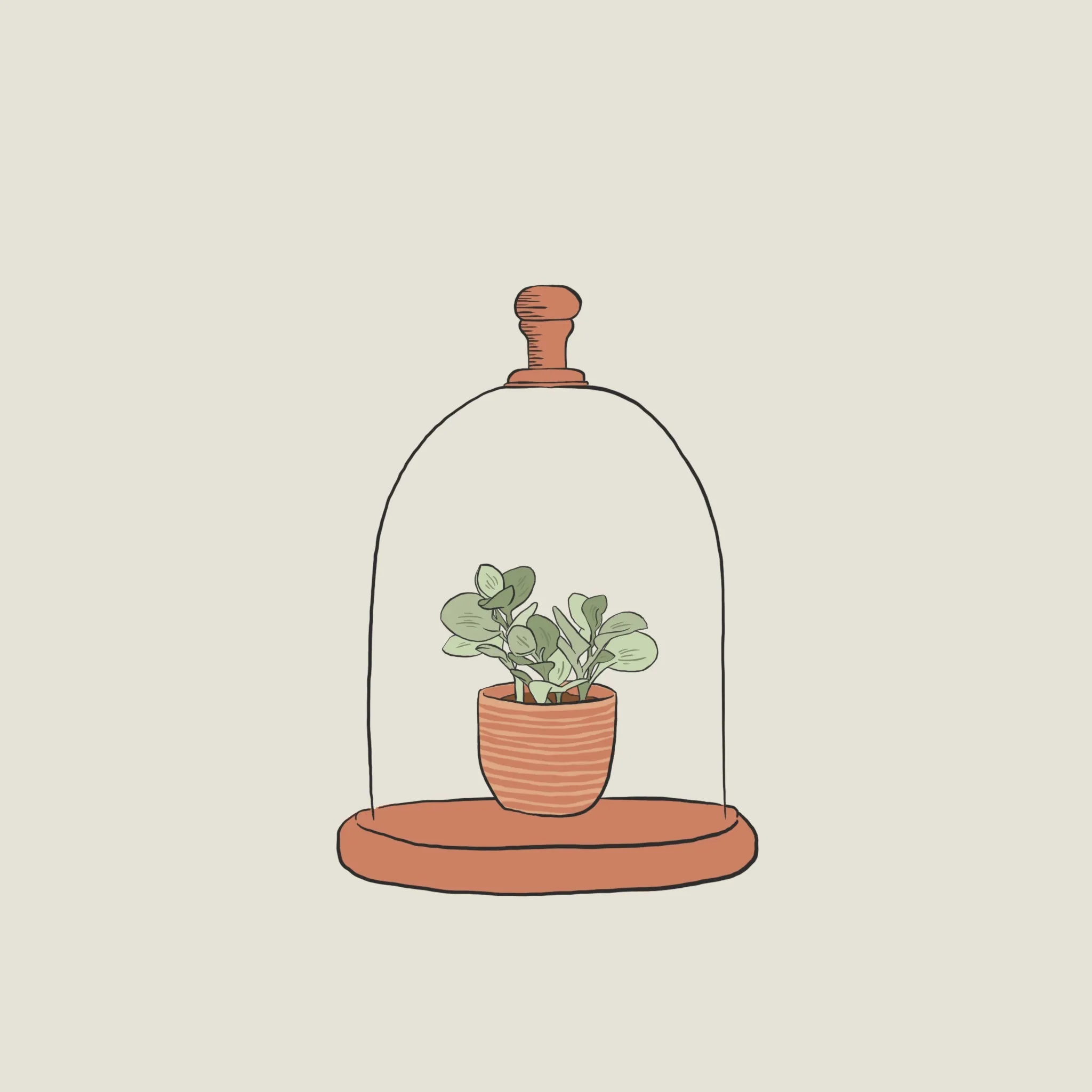 Wellness Collective: Natural Health Remedies for Children